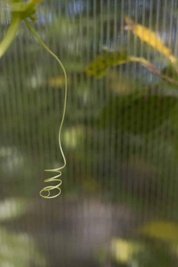 Quelles plaques professionnelles sont adaptées pour les entreprises libérales ?